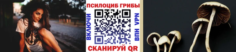 что такое   Артёмовский  Псилоцибиновые грибы ЛСД 